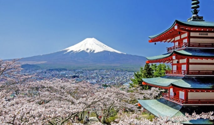 Mt. Fuji Special: Oshino Hakkai + Lake Kawaguchi 1 Day Tour from Tokyo