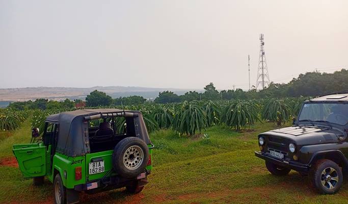Mui Ne Ta Cu Mountain + Poshanu Cham Towers + Dragon Farm + Phan Thiet Market Private Jeep Tour (Half Day)