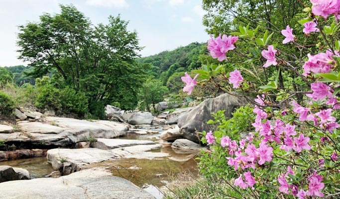 Gyeongbuk Mungyeong Seonyudongcheon Trail Trekking Tour from Seoul