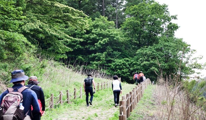 Gyeongbuk Mungyeong Seonyudongcheon Trail Trekking Tour from Seoul