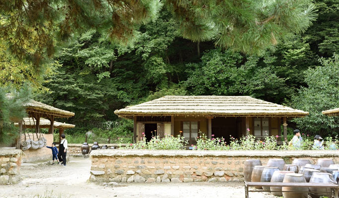 Gyeongbuk Mungyeongsaejae Provincial Park Trekking Tour from Seoul (Barefoot Available/ 'Kingdom' Filming Site)