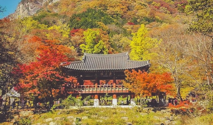 Naejangsan National Park Autumn/Fall Foliage 1 Day Tour - from Seoul/Busan (Oct 27~Nov 8)