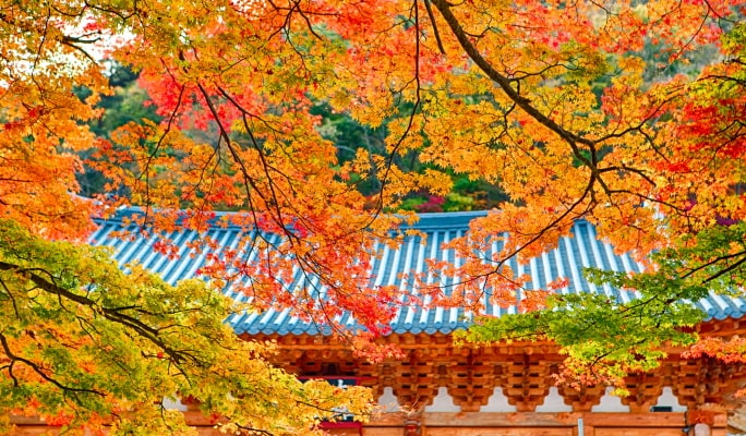 内蔵山国立公園 秋・紅葉 1日ツアー：ソウル/釜山発