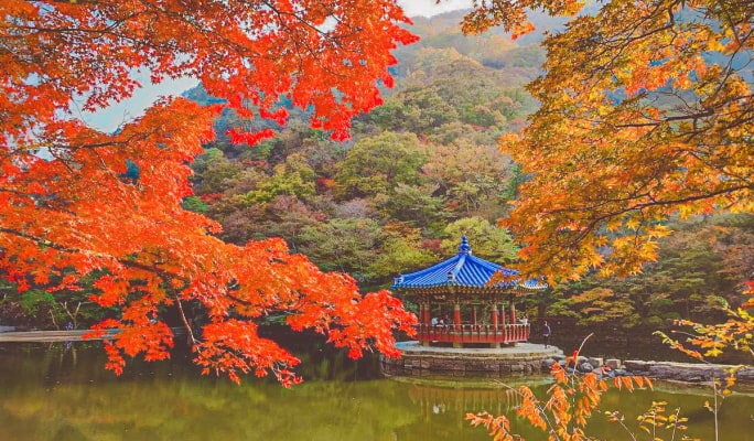 内蔵山国立公園 秋・紅葉 1日ツアー：ソウル/釜山発