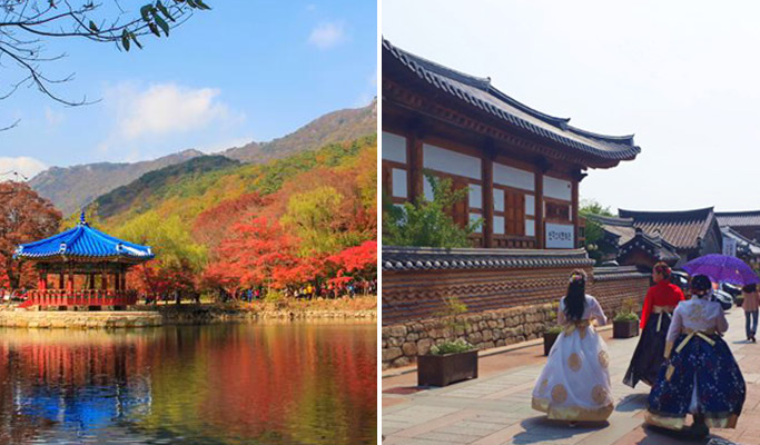 Naejangsan Mountain Autumn/Fall Foliage & Jeonju Hanok Village 1 Day Tour - from Seoul (Nov 3~Nov 13)