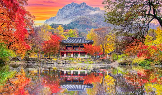 [Autumn Foliage] Naejangsan/ Seoraksan National Park 1 Day Tour from Seoul (Oct 15~Nov 20)