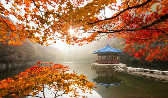 [Autumn Foliage] Naejangsan/ Seoraksan National Park 1 Day Tour from Seoul (Oct 15~Nov 20)