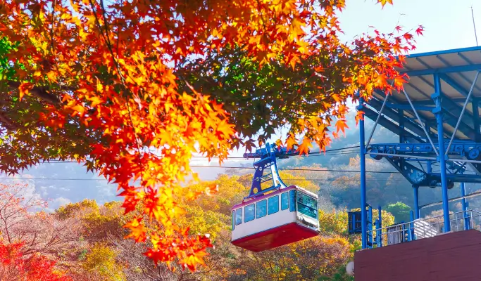[Autumn Foliage] Naejangsan/ Seoraksan National Park 1 Day Tour from Seoul (Oct 15~Nov 20)