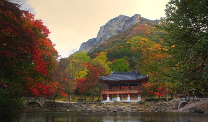 Korea Autumn/Fall Foliage Mountain Shuttle Bus Package