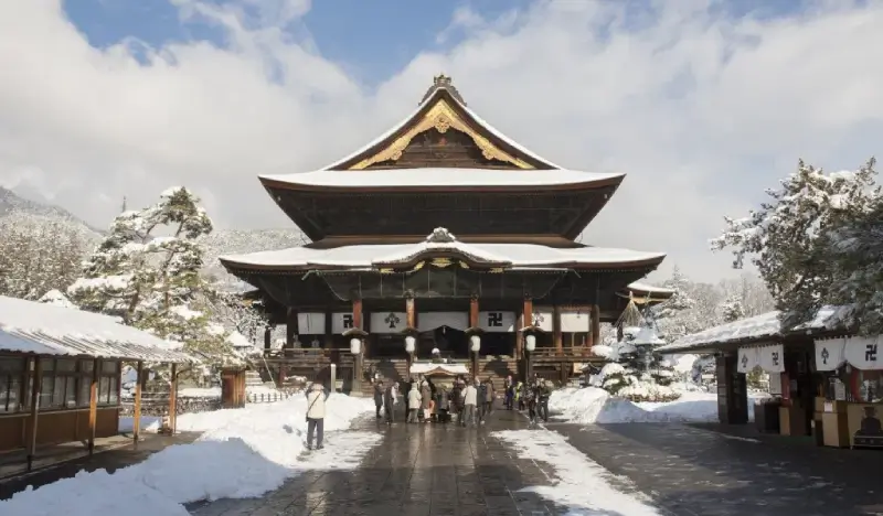 Nagano 1 Day Tour: Snow Monkey Park + Zenko-ji Temple + Sake Tasting - view 2