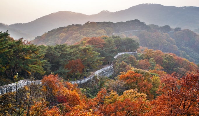 京畿道夜景之旅：聯合國教科文組織南漢山城 & 星光庭園 OOOZOOO 燈光節 1 日遊 (10~11 月)