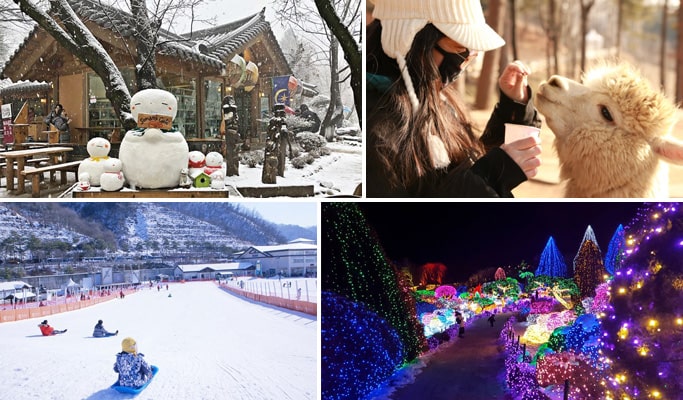 伊利希安江村滑雪度假村+羊駝世界+南怡島（+晨靜樹木園選項）1日遊 - 首爾出發（12 月 11 日~3 月 1 日）