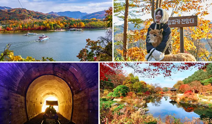 Nami Island & Alpaca World Tour