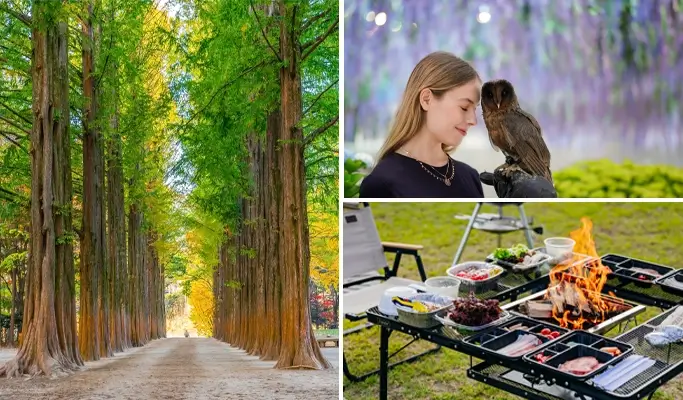Nami Island and Begonia Bird Park Private Tour with BBQ - from Seoul