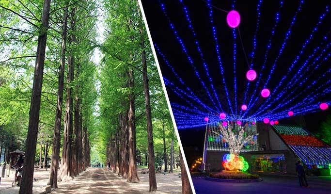 Nami Island + Chuncheon Lake Starlight Nation Festival Afternoon Tour