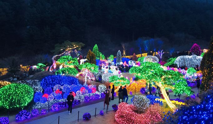 Elysian江村滑雪度假村 + 晨靜樹木園燈光節 1 日遊