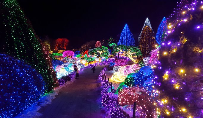 南怡島 + プチ フランス + アチムゴヨ樹木園（朝の静かな樹木園）1日ツアー－ソウル発