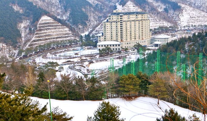 Elysian Gangchon Ski Resort + Nami Island + Petite France + Garden of Morning Calm Lighting Festival 1 Day Tour