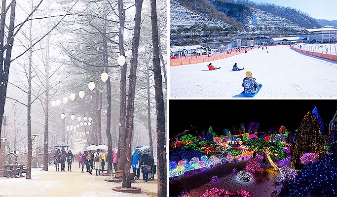 Nami Island + Elysian Gangchon Ski Resort + Garden of Morning Calm Light Festival 1 Day Tour