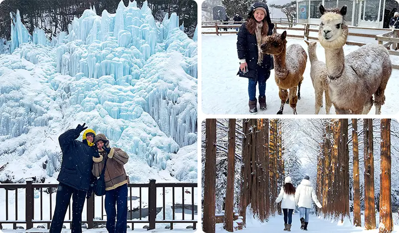 南怡島＋魚飛(オビ)渓谷（＋アチムゴヨ樹木園／レールバイク／プチフランス／アルパカワールド）1日ツアー