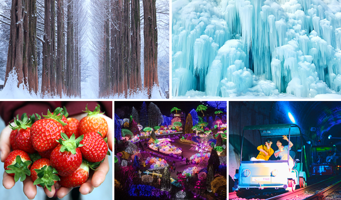 Nami Island + Eobi Ice Valley + Strawberry Picking 1 Day Tour from Seoul (+ Garden of Morning Calm/ Rail Bike options)
