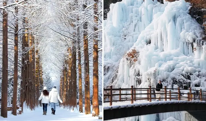 Nami Island + Eobi Ice Valley 1 Day Tour