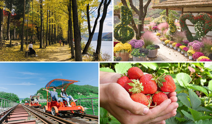 Nami Island + Garden of Morning Calm (+ Rail Bike/ Strawberry Picking option) 1 Day Tour - from Seoul