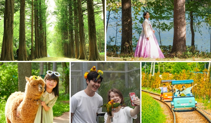Nami Island & Hanbok Rental (+ Begonia Bird Park/ Rail Bike/ Alpaca World) Tour - from Seoul
