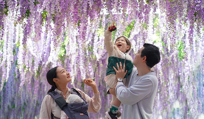 Nami Island & Hanbok Rental (+ Begonia Bird Park/ Rail Bike/ Alpaca World) Tour - from Seoul