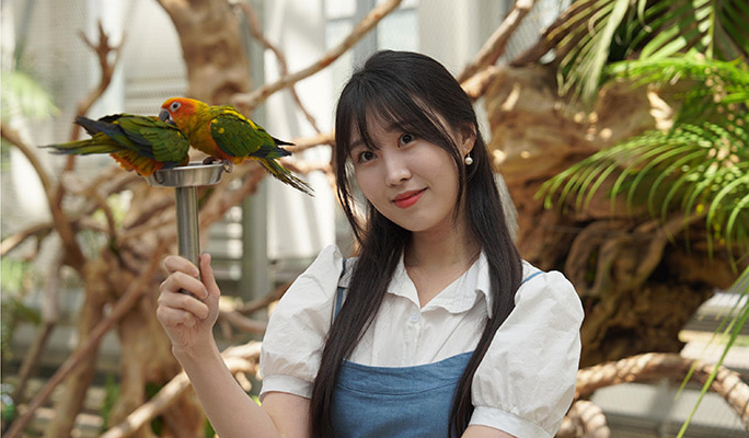 Nami Island & Hanbok Rental (+ Begonia Bird Park/ Rail Bike/ Alpaca World) Tour - from Seoul
