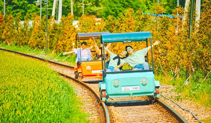 Nami Island & Hanbok Rental (+ Begonia Bird Park/ Rail Bike/ Alpaca World) Tour - from Seoul