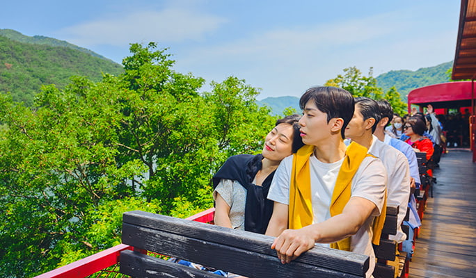 Nami Island & Hanbok Rental (+ Begonia Bird Park/ Rail Bike/ Alpaca World) Tour - from Seoul