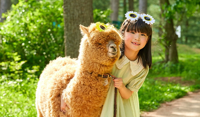 Nami Island & Hanbok Rental (+ Begonia Bird Park/ Rail Bike/ Alpaca World) Tour - from Seoul