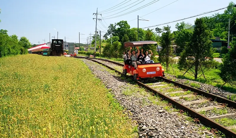Nami Island + Hanbok & Gimbap Experience (+ Rail Bike/ Waterfall/ Eobi Ice Valley/ Strawberry Picking option) 1 Day Tour - from Seoul - view 1