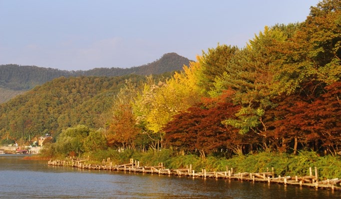 Nami Island + Chuncheon Lake Starlight Nation Festival Afternoon Tour
