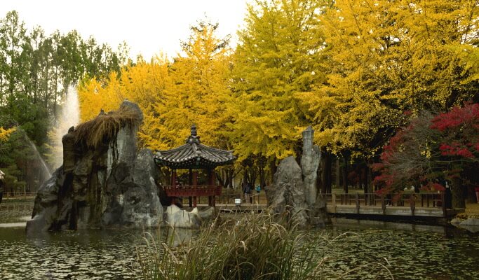 Nami Island + Everland 1 Day Tour