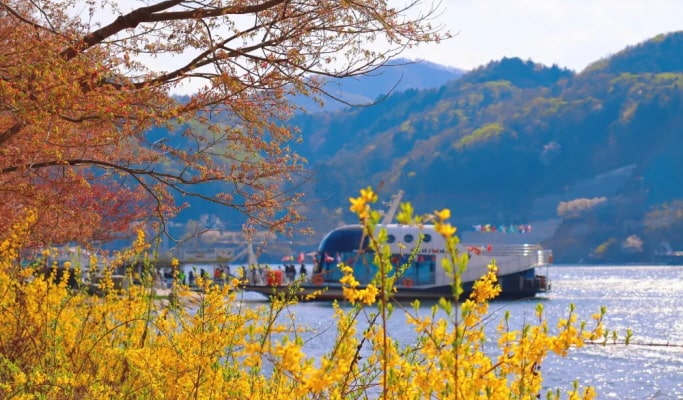 nami-island-discount-ticket