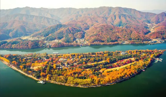 Nami Island + Gangchon Rail Bike + Nari Park Globe Amaranth/ Pink Muhly Festival 1 Day Tour from Seoul (Sept 5~Oct 20)