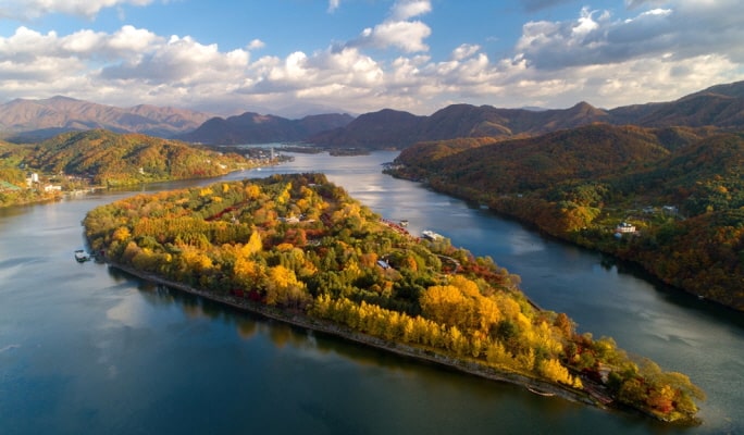 Nami Island & Apple Picking (+Rail Bike/ The Stay Healing Park/ Alpaca Garden) Tour