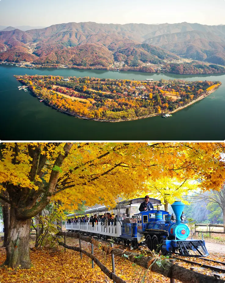 Vibrant foliage colors of Nami Island in the fall season.