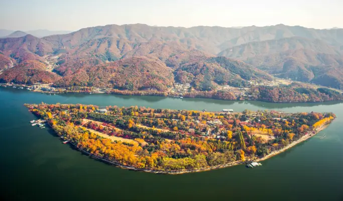 Nami Island & Walkerhill Maple Road/ Theatre des Lumieres 1 Day Tour from Seoul (Sept~Nov)