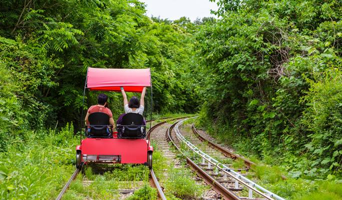 Nami Island + Gangchon Rail Bike + Strawberry Farm 1 Day Tour - from Seoul