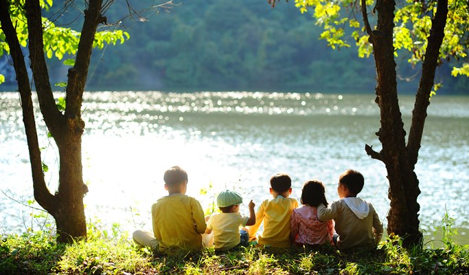 Nami Island + Gangchon Rail Bike + Strawberry Farm 1 Day Tour - from Seoul