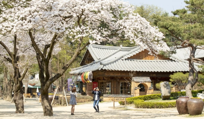 南怡島 + 江村鐵路自行車 + 晨靜樹木園 / 小法國村 + 義大利村 1 日遊