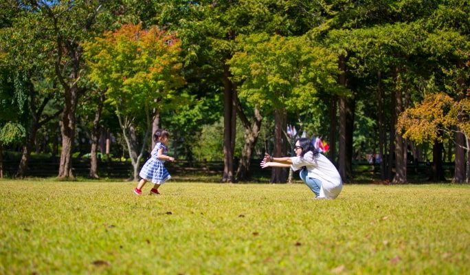 Nami Island + Petite France & Italian Village + Gangchon Rail Bike + Garden of Morning Calm Tour