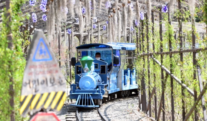 Nami Island + Petite France & Italian Village + Gangchon Rail Bike + Garden of Morning Calm Tour