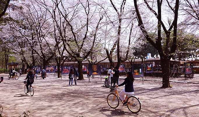 南怡島接駁巴士 - 首爾出發