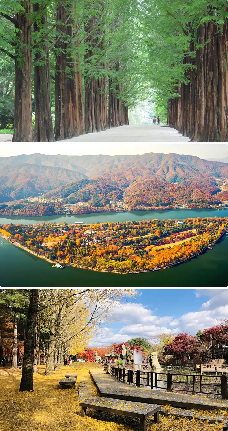 Wide view of Nami Island, featuring tree-lined paths and natural scenery.