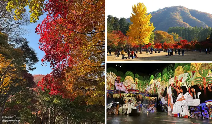 Nami Island & Walkerhill Maple Road/ Theatre des Lumieres 1 Day Tour from Seoul (Sept~Nov)