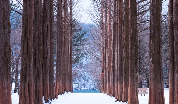 南怡島＆伊利希安江村滑雪度假村 1 日套票